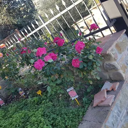 Mamma Laura דירה Vagliagli